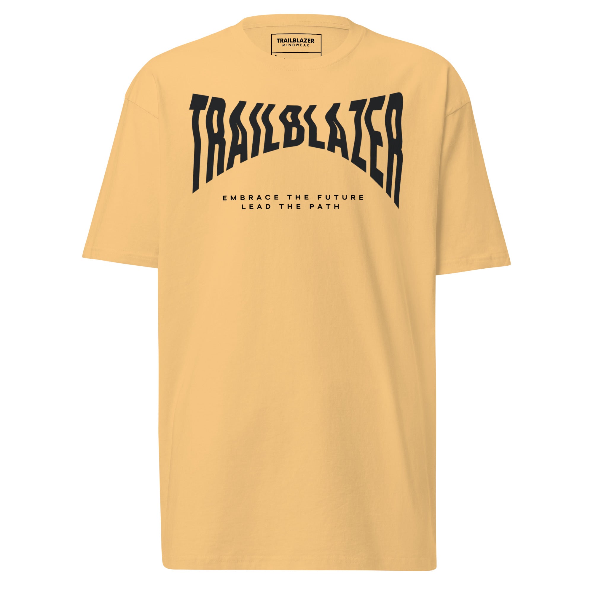 Embrace and Lead tee